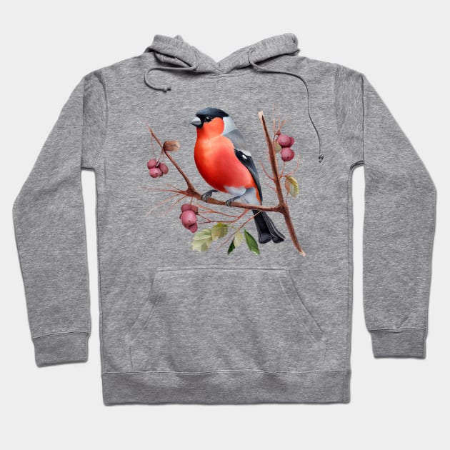 Watercolor Bullfinch on a Twig Hoodie by KOTOdesign